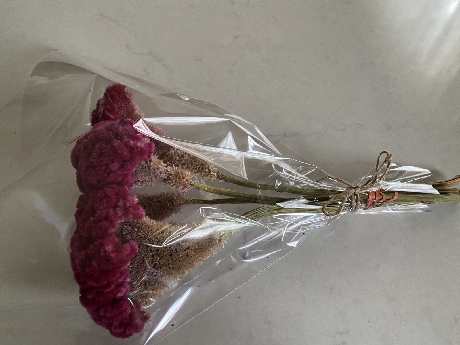 COCKSCOMB Celosia DRIED FLOWERS Bunch BOUQUET Bundle Wedding ++ Assorted