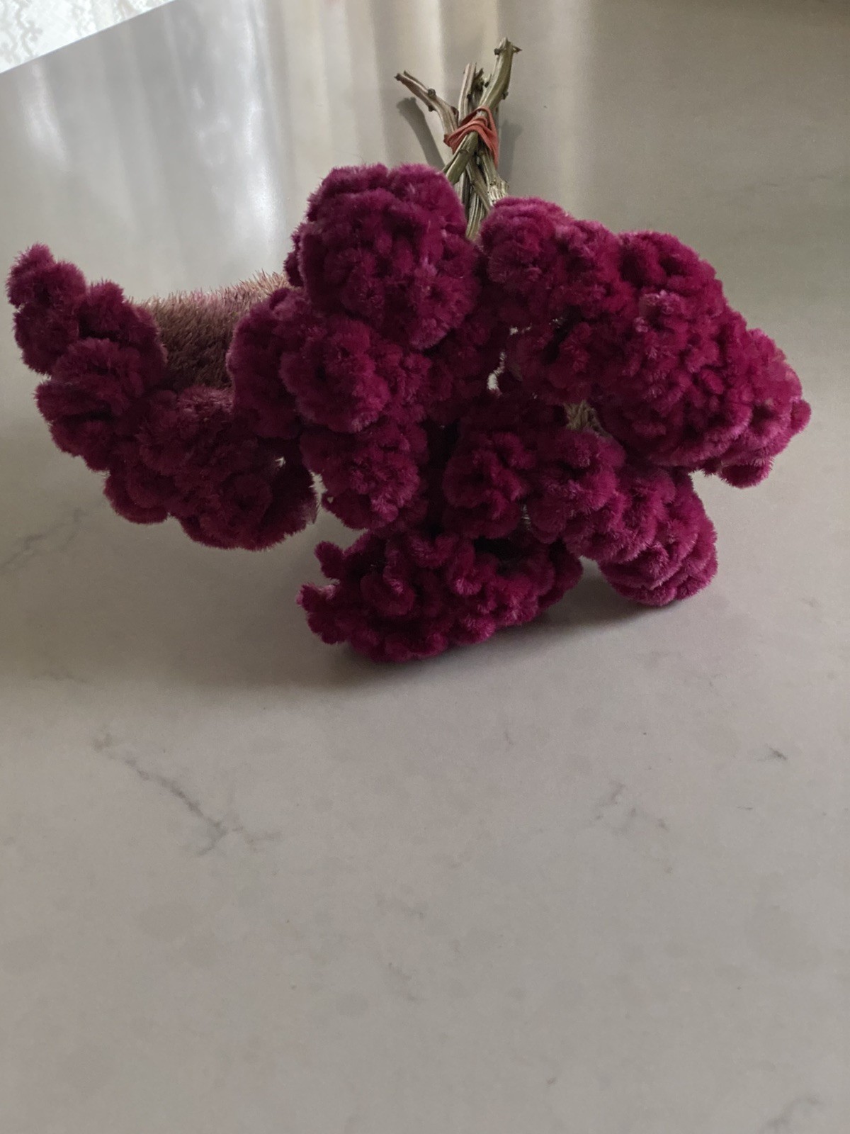 COCKSCOMB Celosia DRIED FLOWERS Bunch BOUQUET Bundle Wedding ++ Assorted