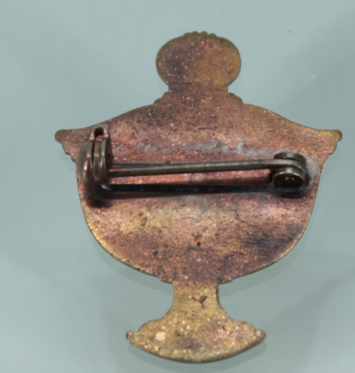 Patricia E Ahearn Award Pin Badge Patient Choice Compassion Rare Vintage UK