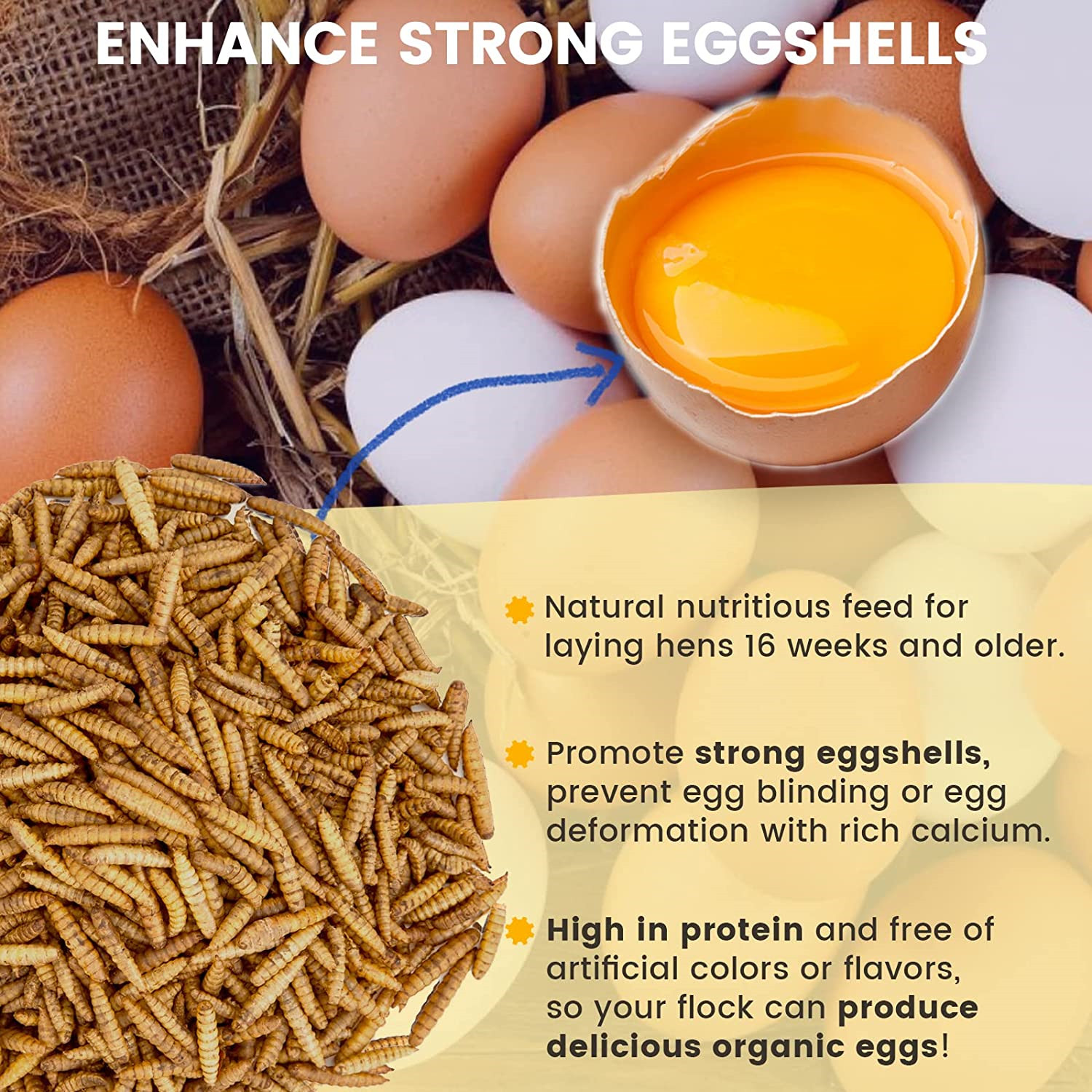 11 LBS Dried Black Soldier Fly Larvae Mealworms for Chicken Birds Treats Non-GMO