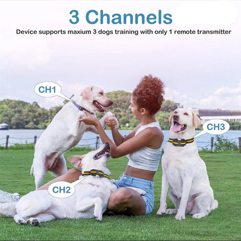 3300 FT Dog Training Collar Rechargeable Remote Shock Pet Waterproof Trainer