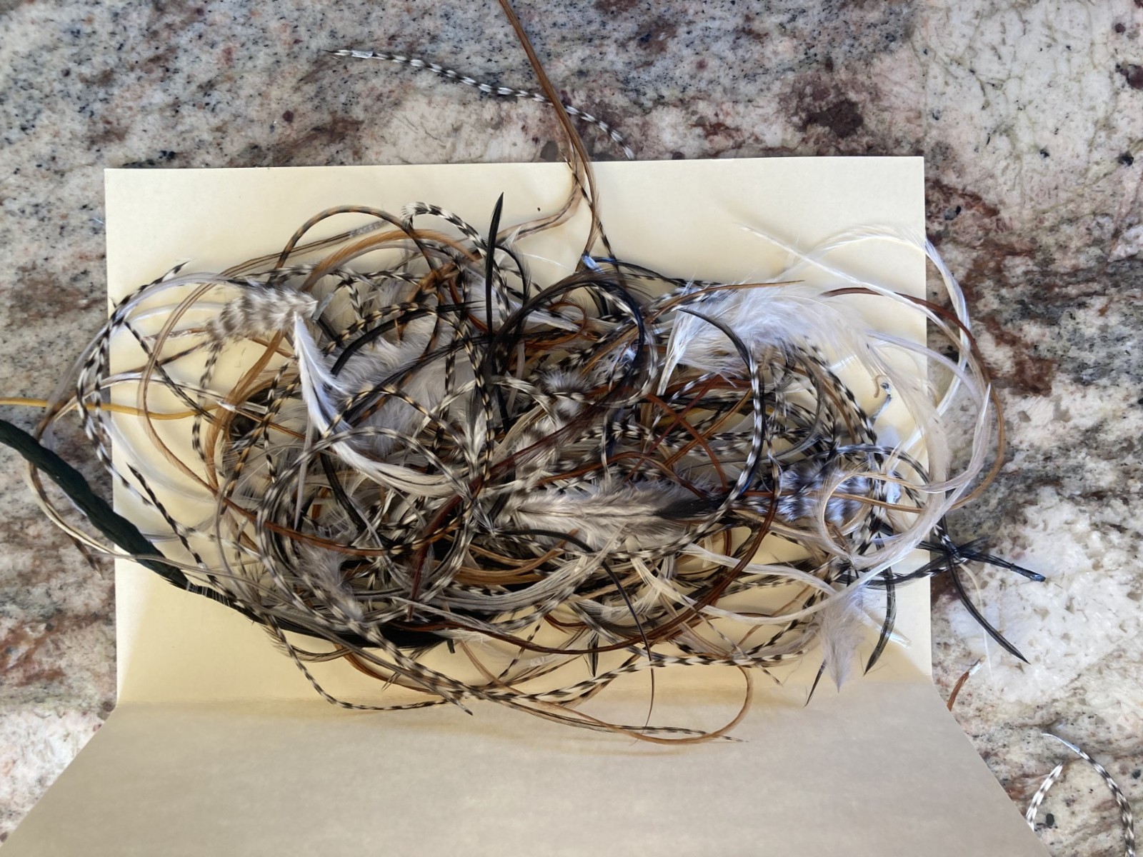 hair feathers extensions 50 pack