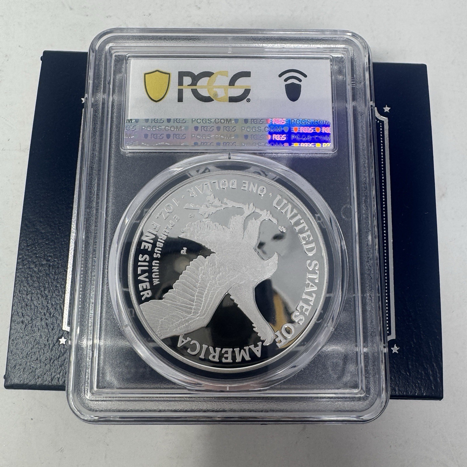 2025-P U.S. Marine Corps 250th Anniversary Privy Proof Silver Eagle PCGS PR69