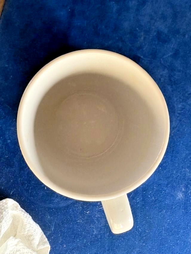 Vtg 1988 Limerick Nuclear Generating Station "Open House" Staff Vol. MUG - 3.5"