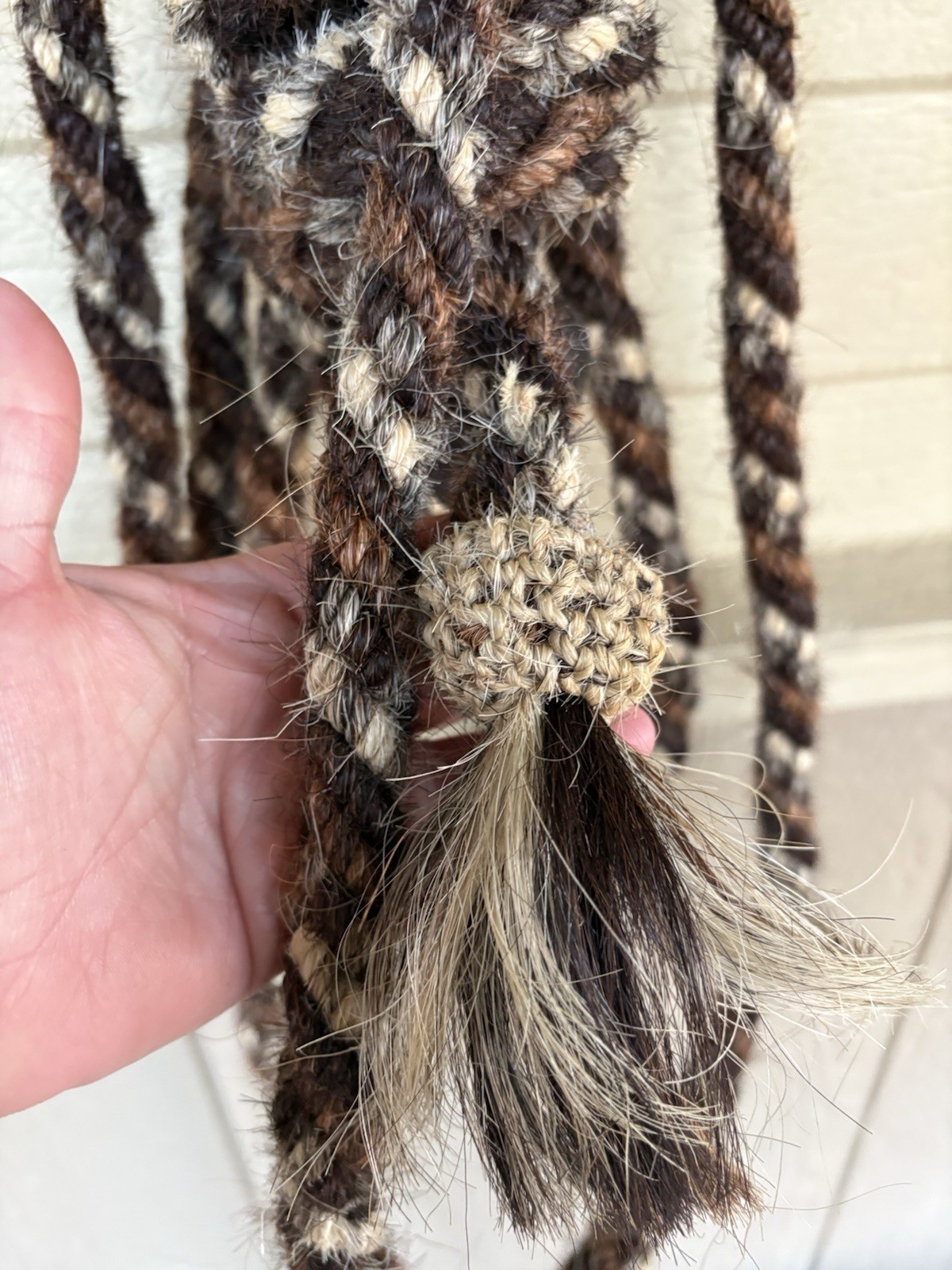 Absolutely Gorgeous Vintage Harris Hackamore With John Silva Mecate