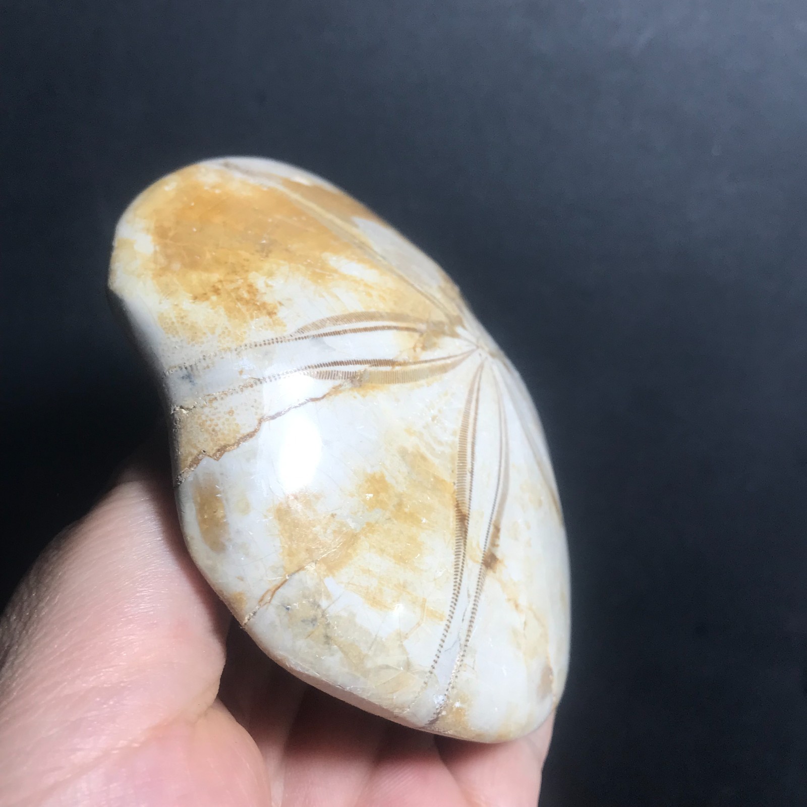 213g Starfish Crystal Specimen 09