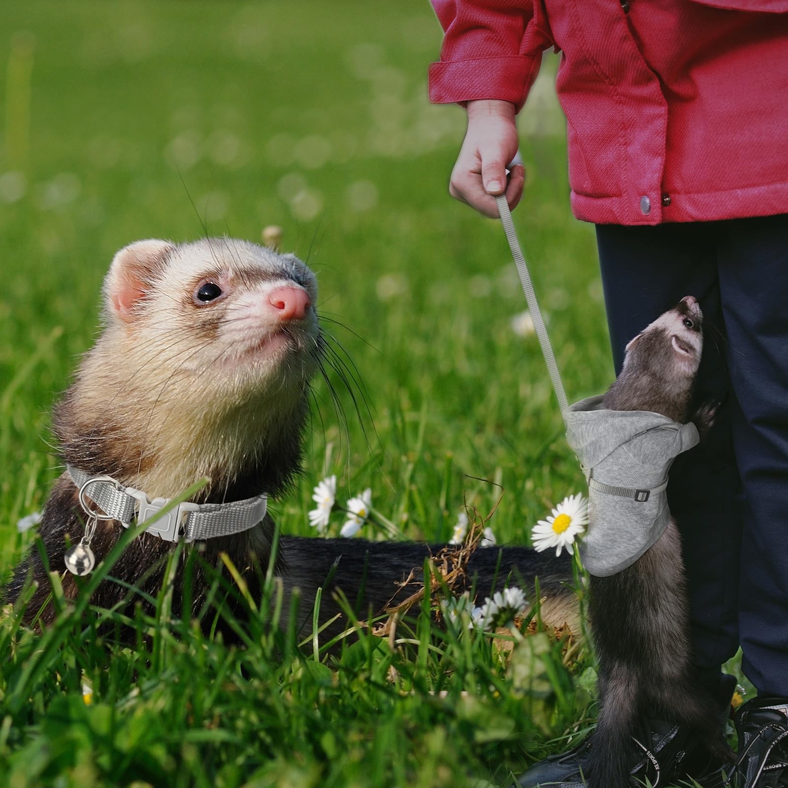 6 Pcs Ferret Clothes Accessories Include Ferret Leash and Harness Set Safe Pe...