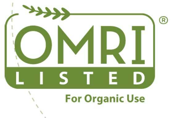 Liquid Kelp Organic Seaweed Fertilizer, 1 Gallon of concentrate