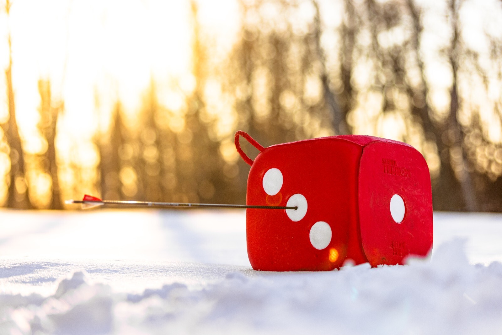 Morrell High Roller Archery Target