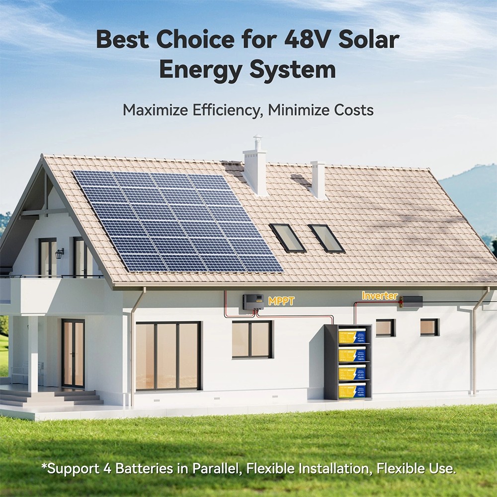 48V 100Ah LiFePO4 Lithium Battery BMS Deep Cycles for RV Solar Boat Golf Cart