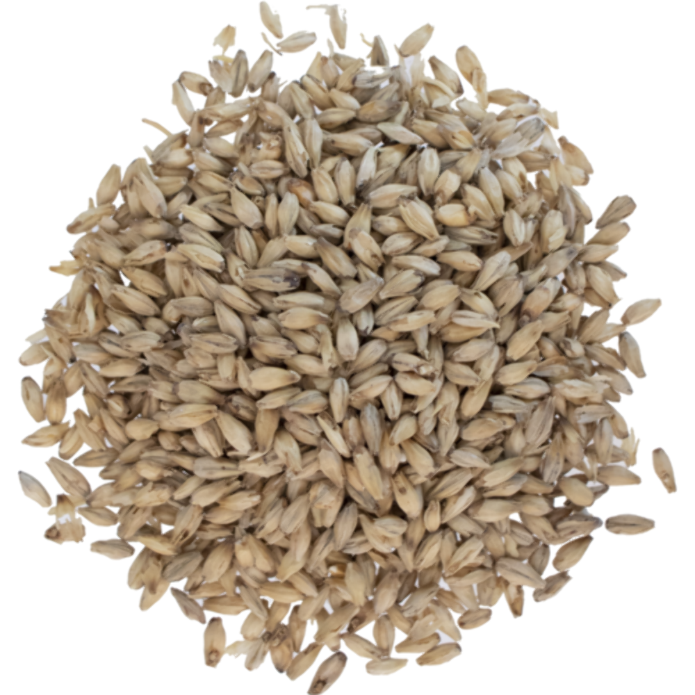 6-Row Malt by Avangard 10 lbs beer brewing grains (2L)