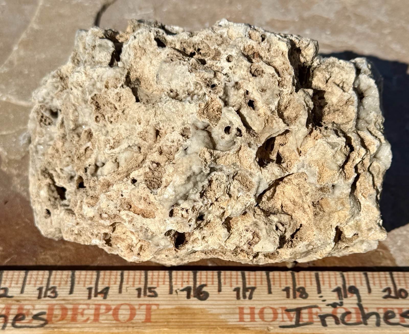 GORGEOUS* 7 Lb Crystallized Fossil Coral Reef Rock~Brilliant Druzy Sparkle