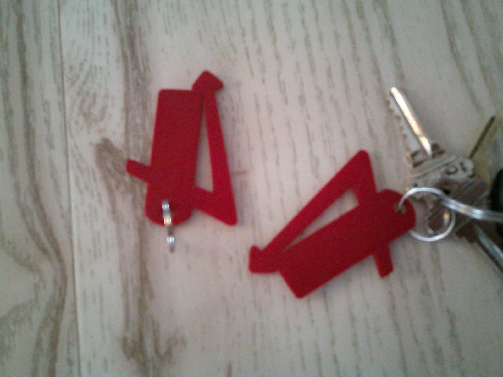 1 in n out key chain