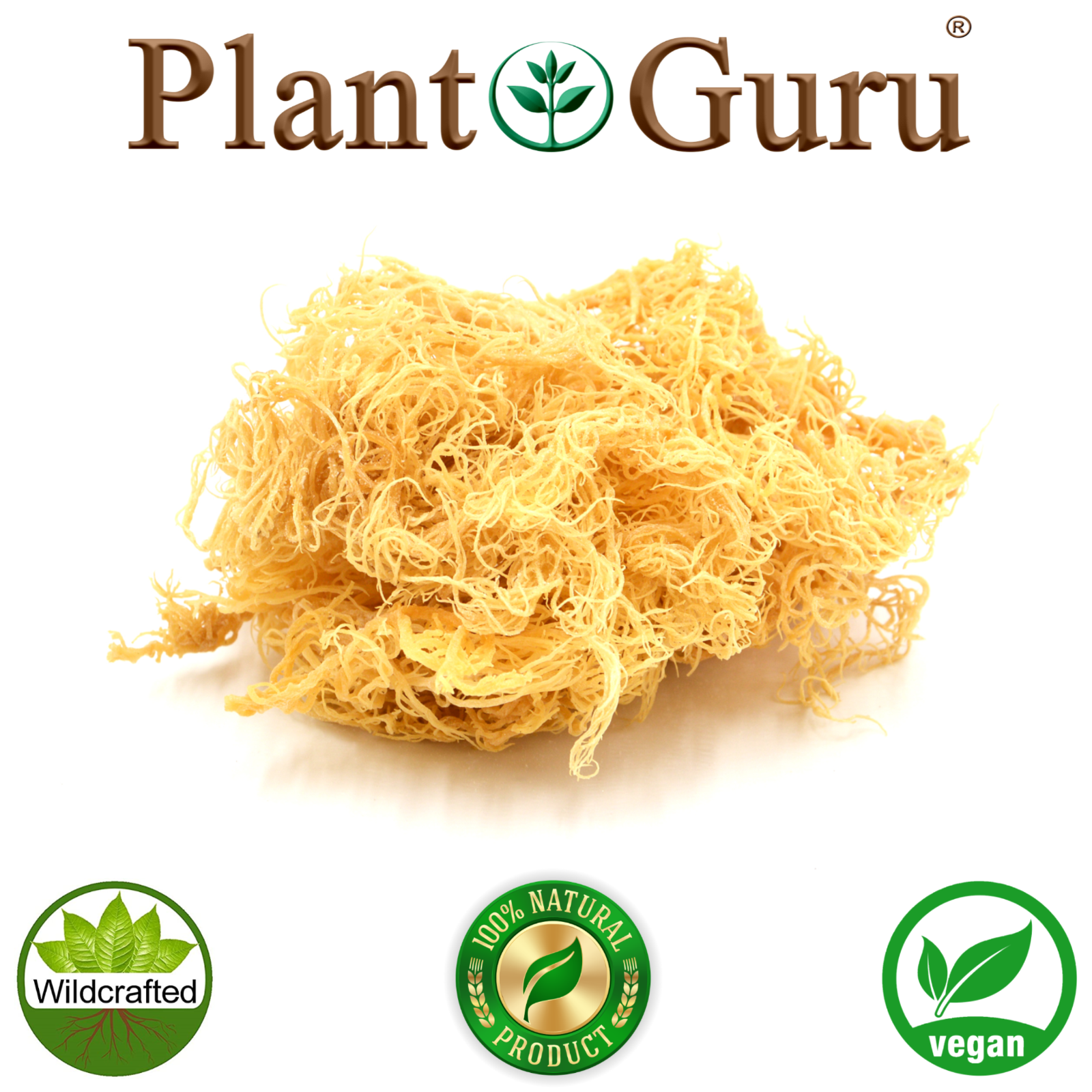 Gold Sea Moss St Lucia / Dr Sebi Irish Moss Wildcrafted 100% Pure Raw