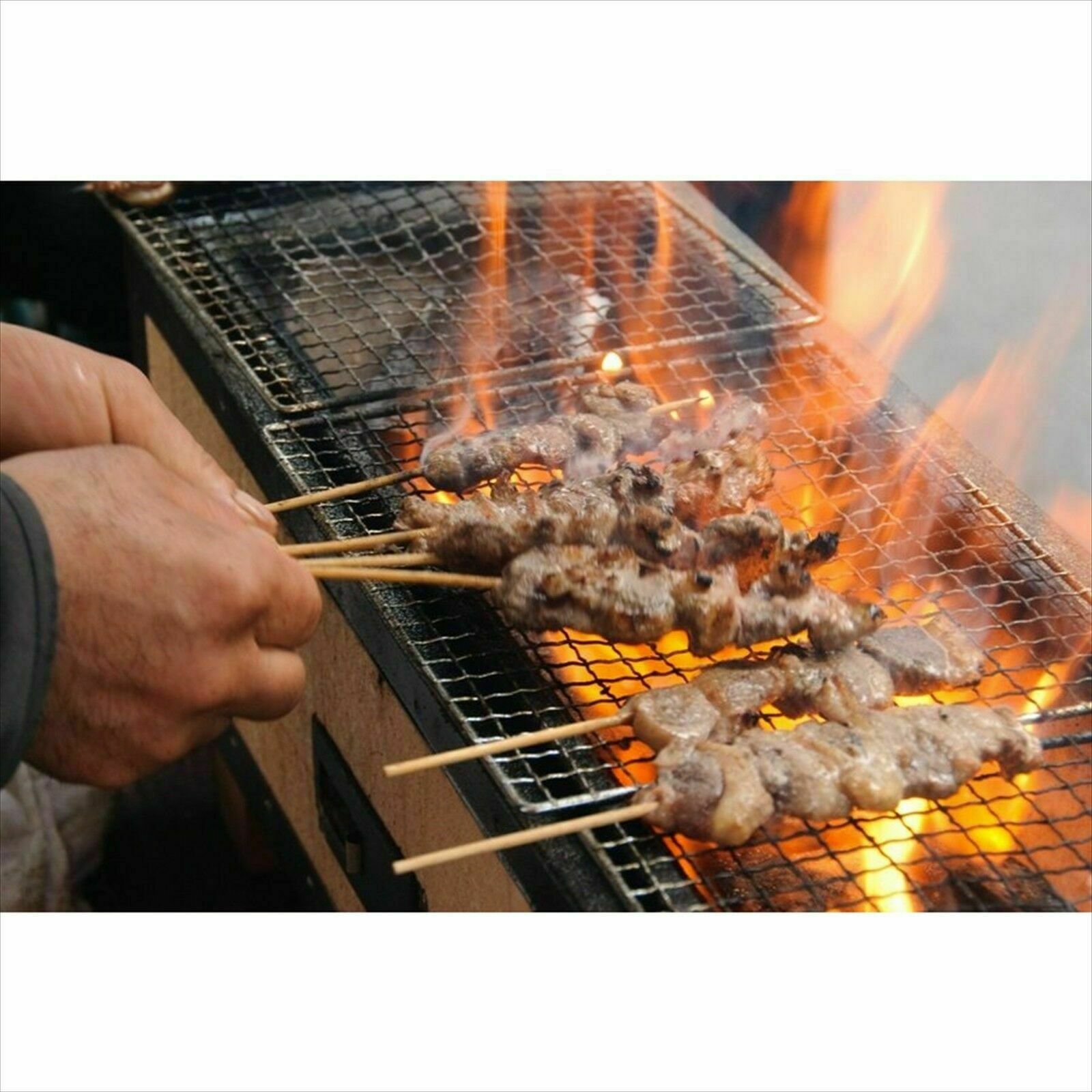 NEW Japan Yakitori BBQ Diatomite Charcoal Grill Barbecue Hibachi Konro