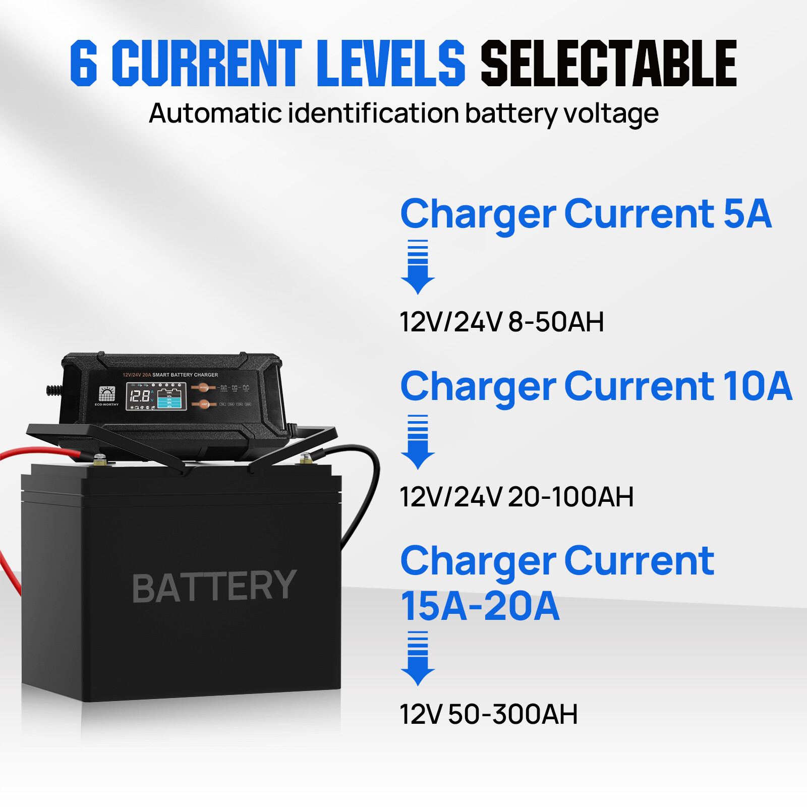 ECO-WORTHY 12V/24V 20A Lithium LifePO4 Battery Charger 14.6V Maintenance