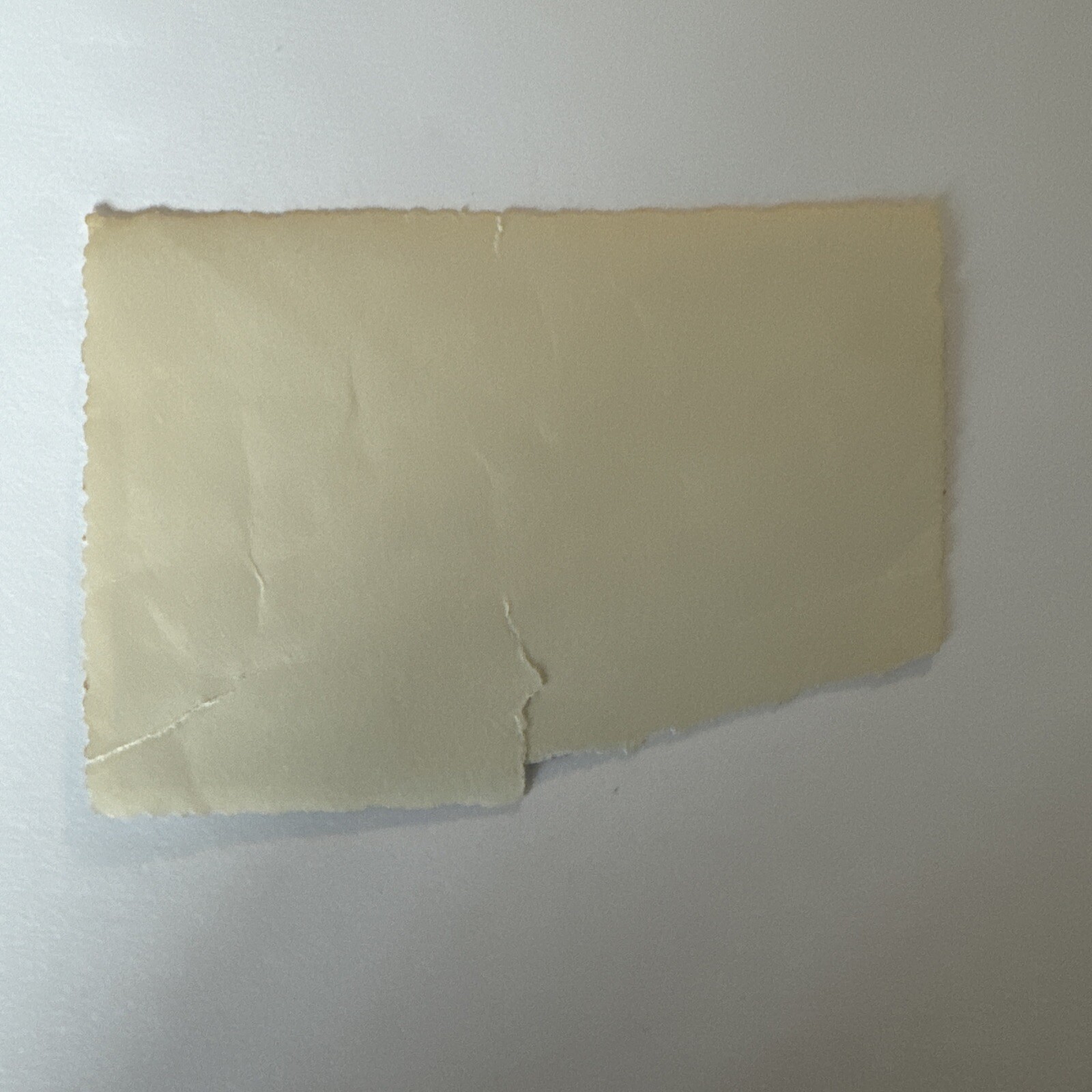 ZEPPELIN PASSENGER AIRSHIP IN FLIGHT 1908 8x10 GLOSSY PHOTO PRINT