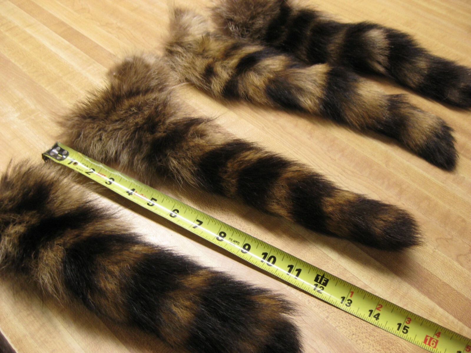 Large Tanned Jumbo Raccoon Tail Coon Fur Crafts 1 Tail Only