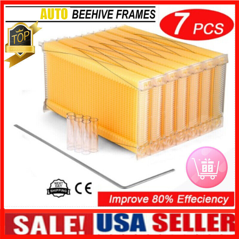 7pcs Auto Honey Hive Beehives Beekeeping Frames for Brood Beekeeping Box House