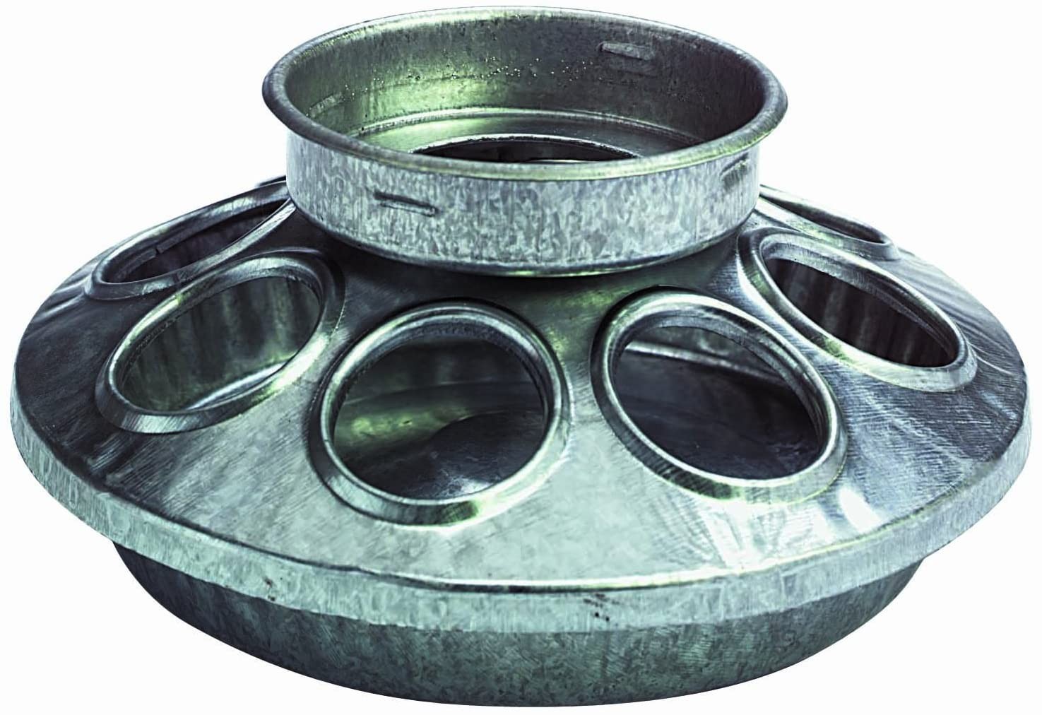 Little Giant Chick Feeder Galvanized Steel Mason Jar Base Eight Feeding Holes