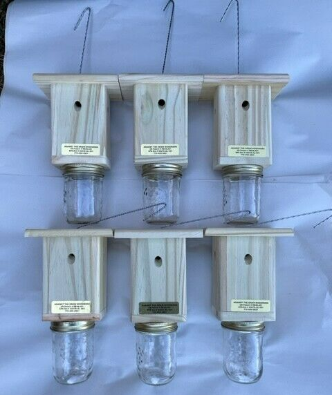 Best Carpenter Bee Trap Set of 6 PRESSURE TREATED Handmade