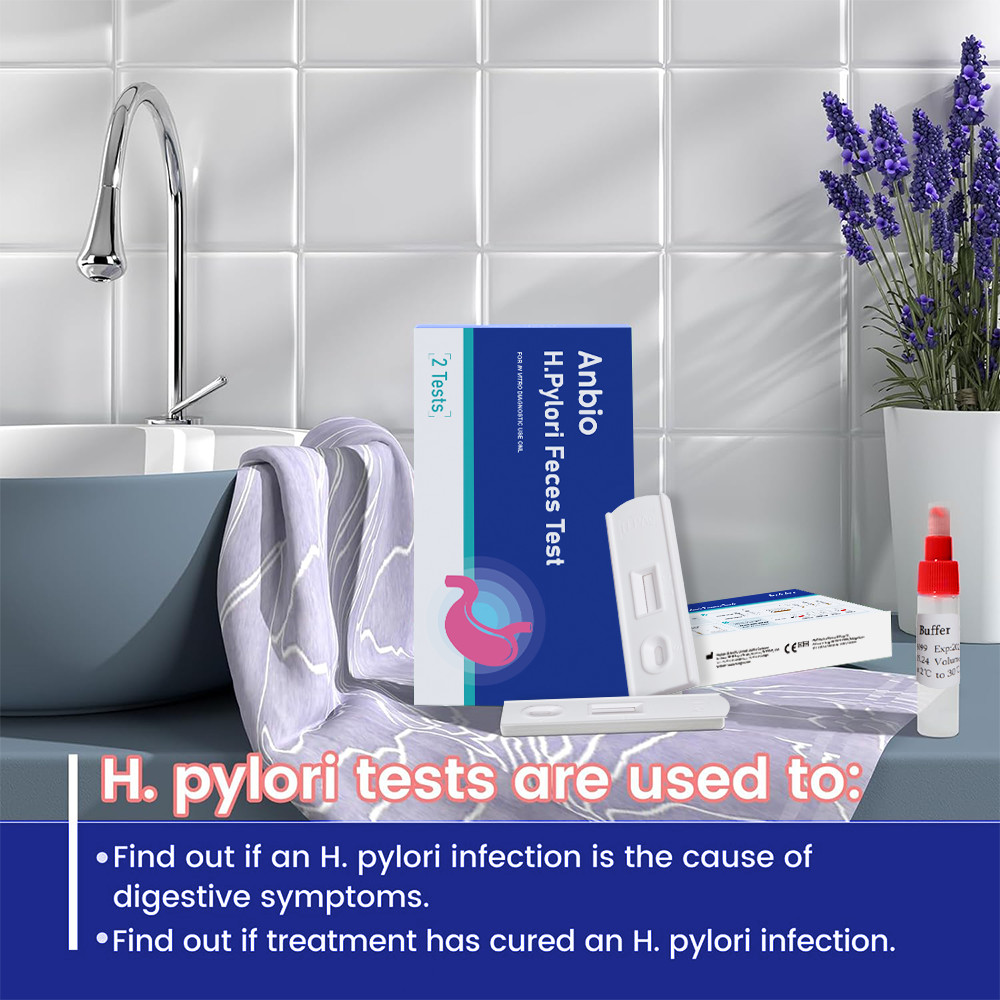 2 pcs * Helicobacter Pylori Tests for home use H.P Test Kit Antigen Rapid Test