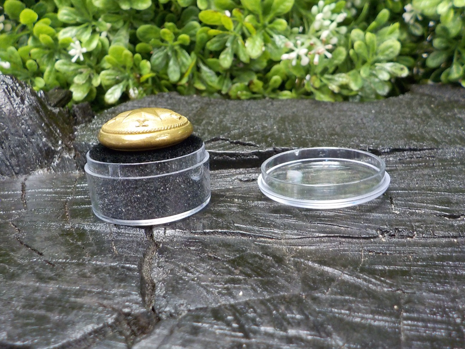 Old Rare Vintage Antique War Relic Texas Coat Button Free Display Case