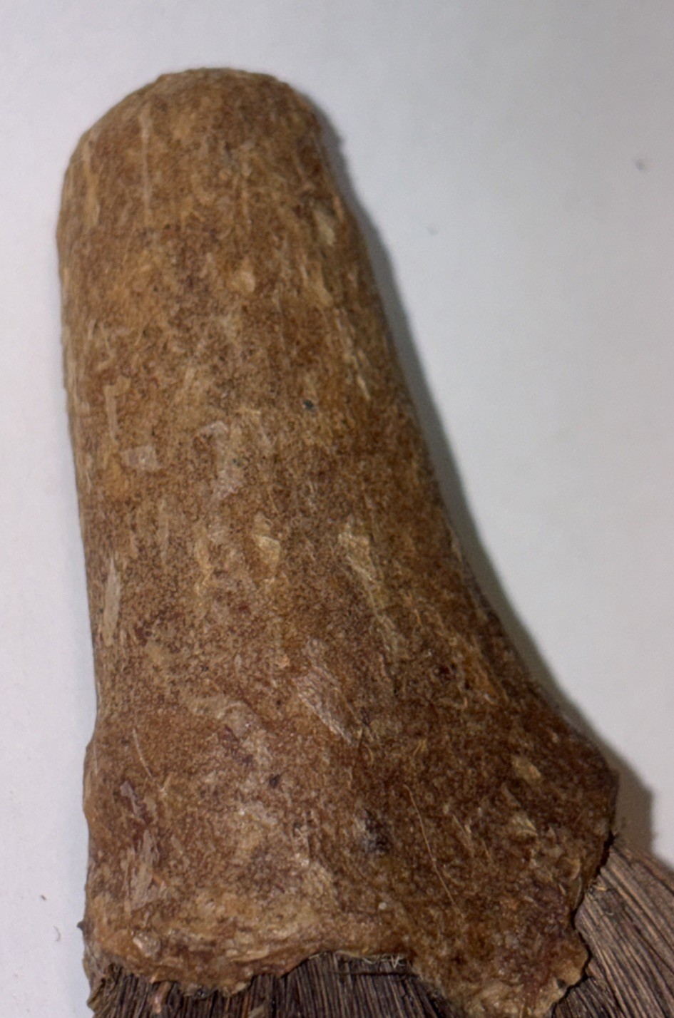 CHUKCHANSI OR MIWOK NATIVE AMERICAN SOAPROOT BRUSH 4”