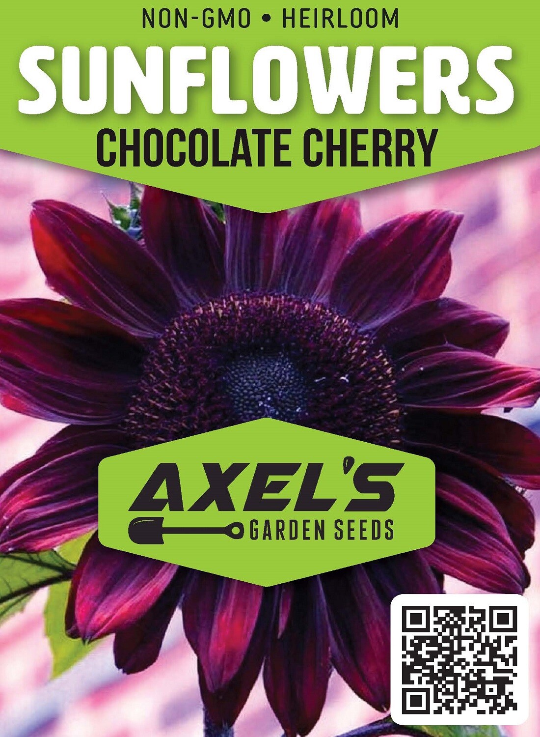 Sunflower Seeds - Vibrant Heirloom Rare, Free Shipping, Chocolate Cherry