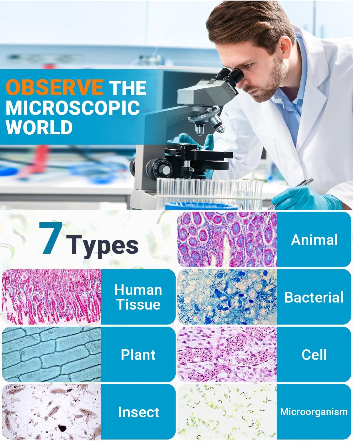 Microscope Slides and Covers Kit – 50 Blank Pre-Cleaned Glass 4 inches, Clear