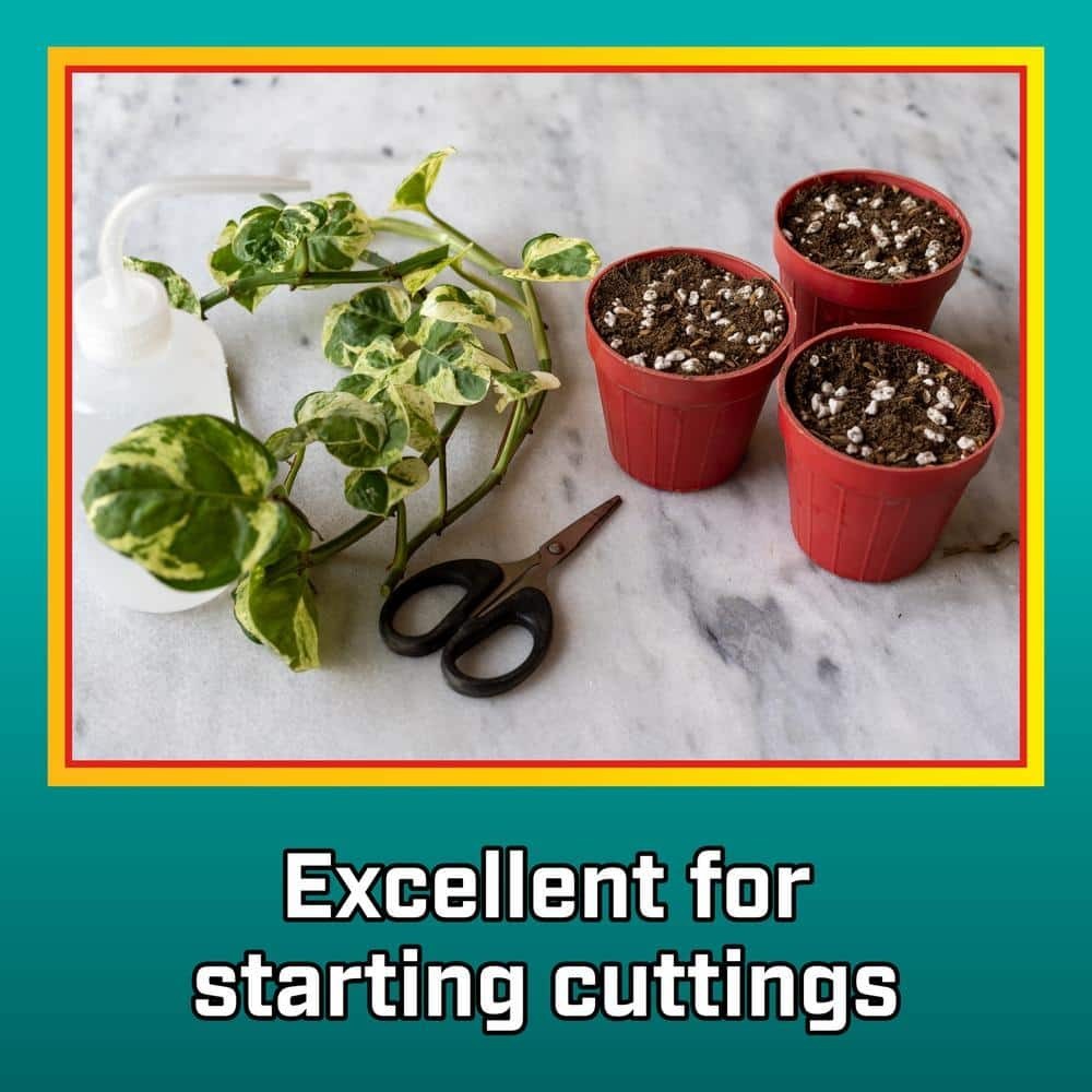 Vigoro 8-Qt Organic Perlite Soil Amendment Lightweight Weed-Free for Pots & Gard