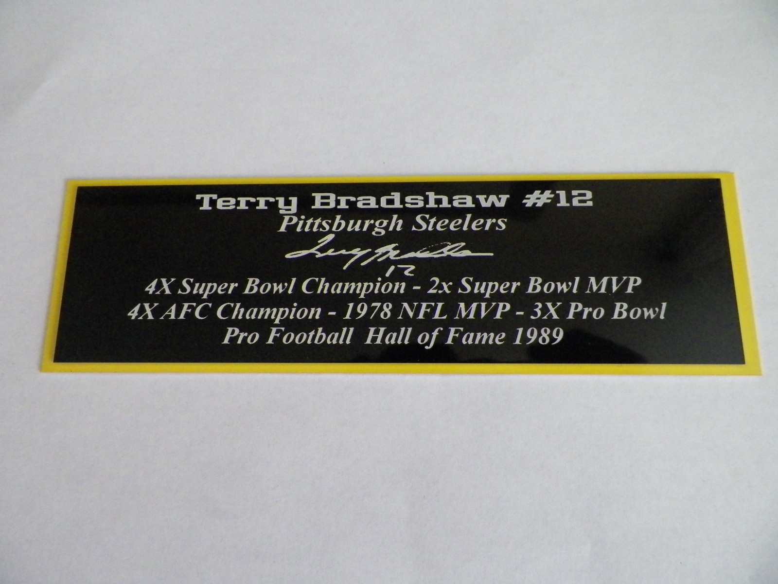 Larry Bird Nameplate Boston Celtics Autograph Photo Basketball Jersey