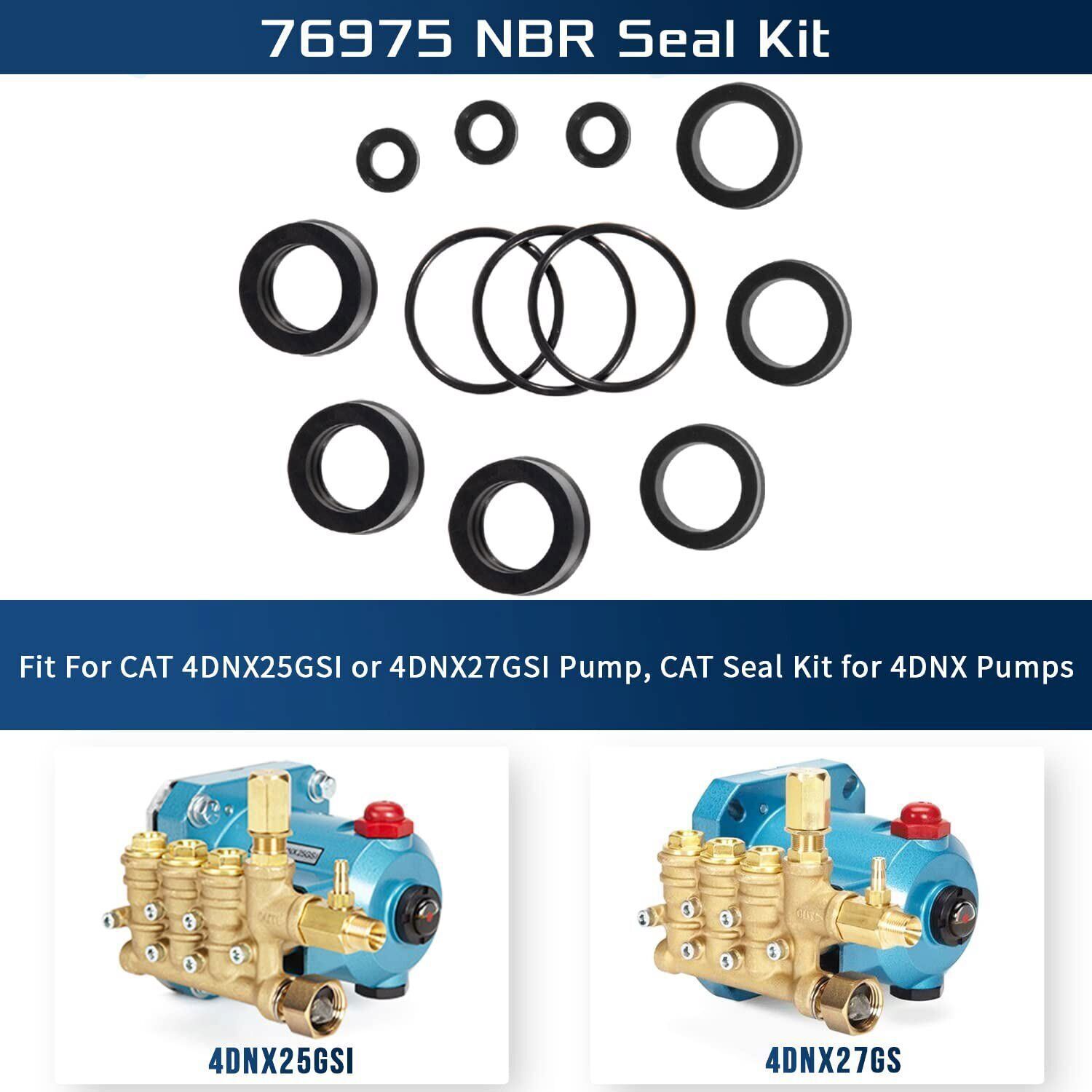 76975 Seal Kit 12Pcs for Cat Pump 4DNX Pumps 4DNX25GSI 4DNX27GSI Seal Kit Rubber