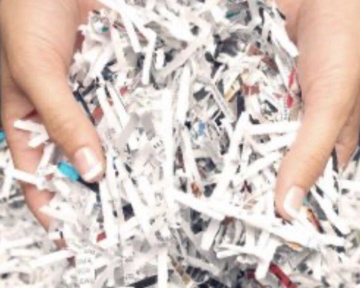 Shredded paper - by the pound lb lbs
