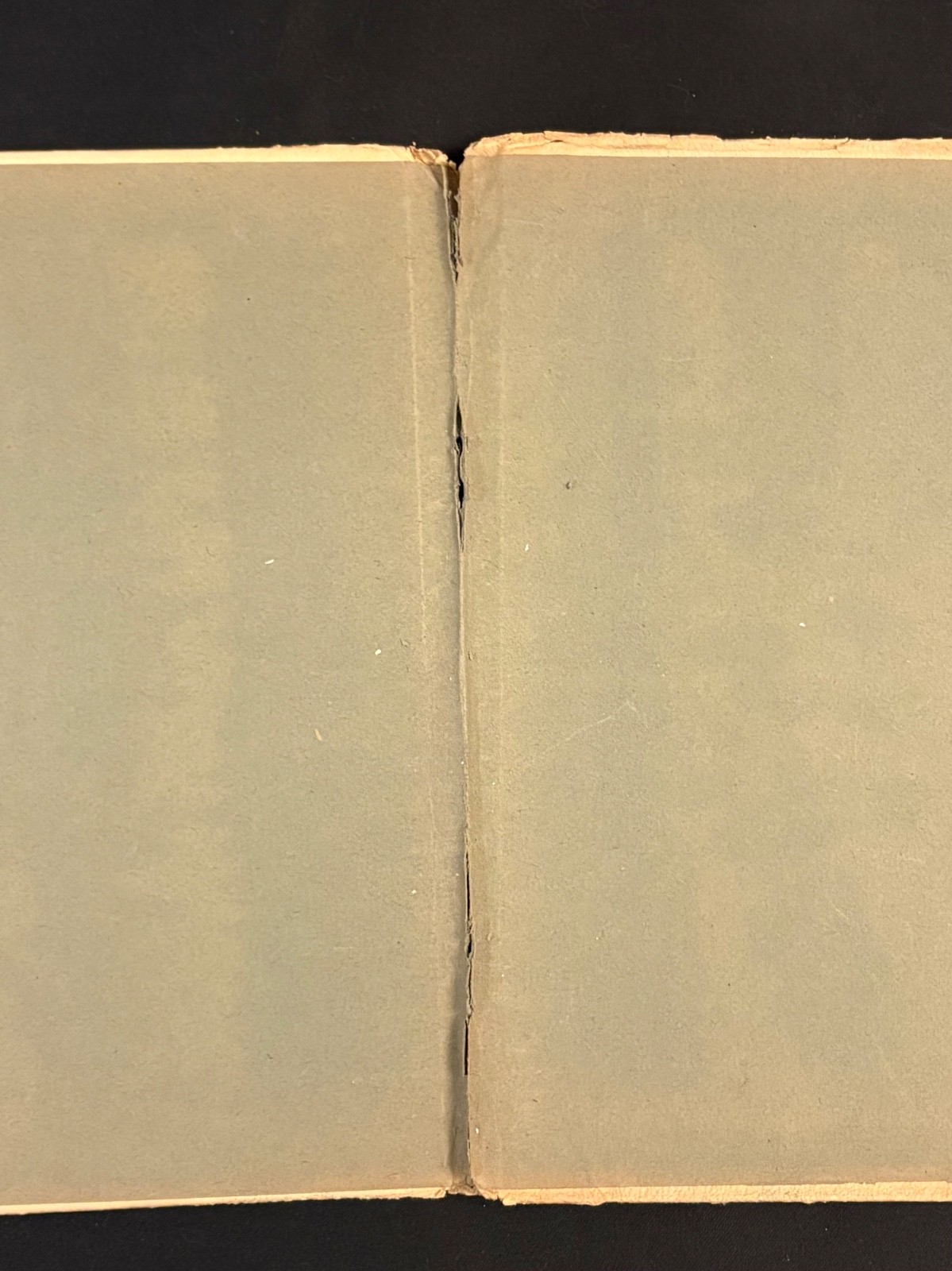 Post Cards Album Embossed Profile Art Nouveau Paper Slotted Pages Vintage Empty