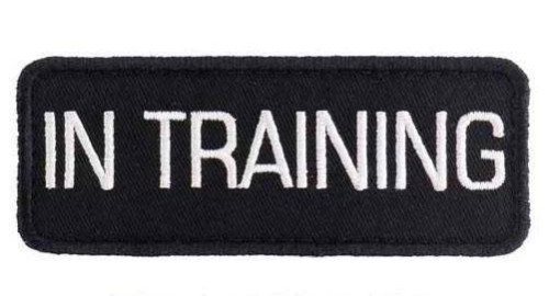 Service Dog Harness Vest Reflective - Patches - Waterproof ALL ACCESS CANINE™