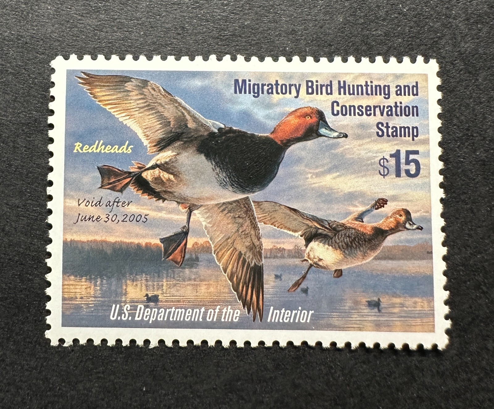 WTDstamps - #RW71 2004 - US Federal Duck Stamp - Mint OG NH