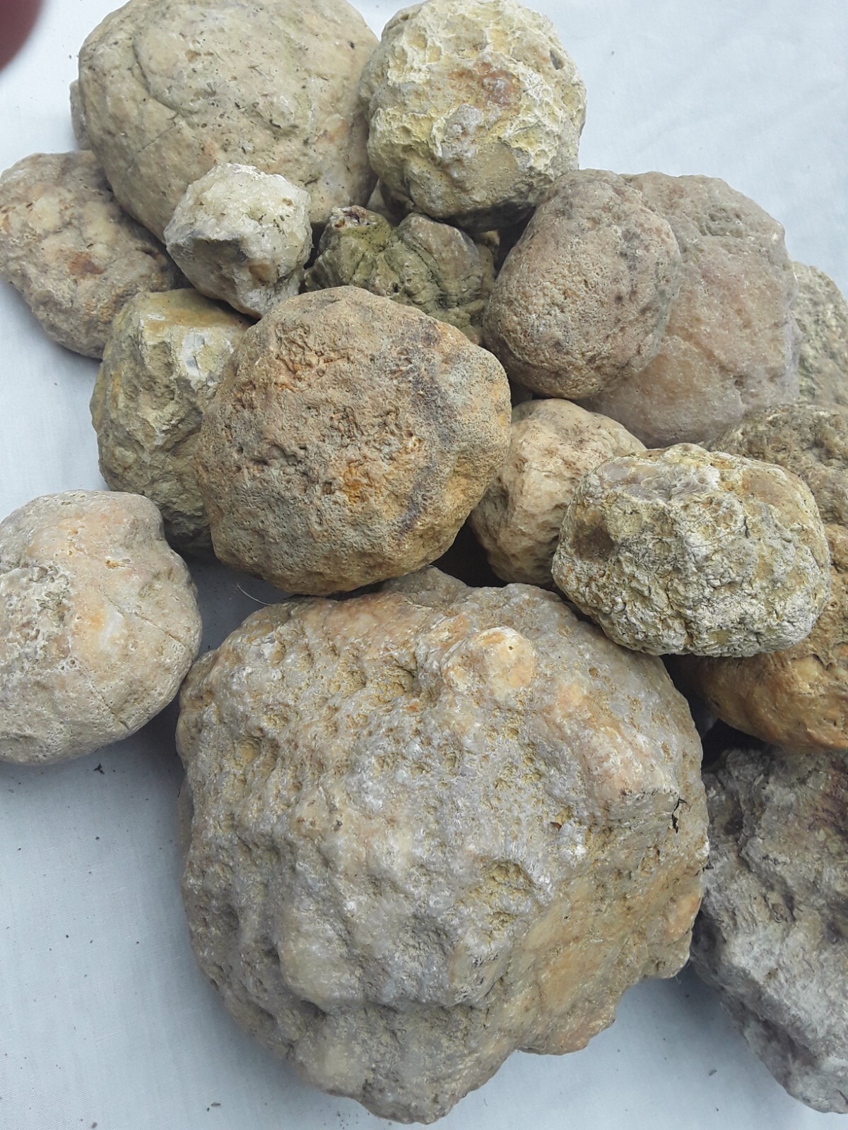 5 lbs Premium Kentucky Uncut Geodes Agates Nodules Lapidary Quartz Crystals Sale