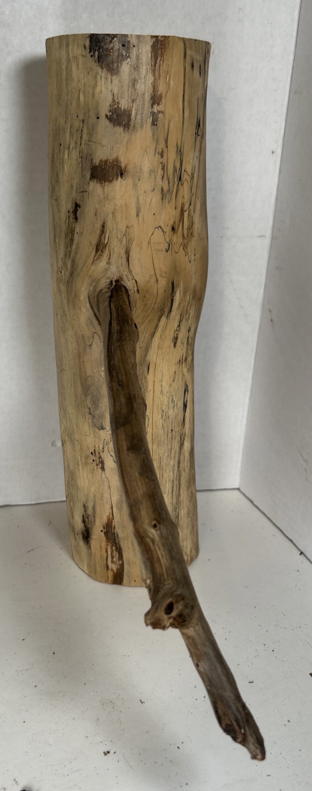 Driftwood¡ 2 Piece Set Cedar Taxidermy Beach Mountain Wedding 1 White Outside