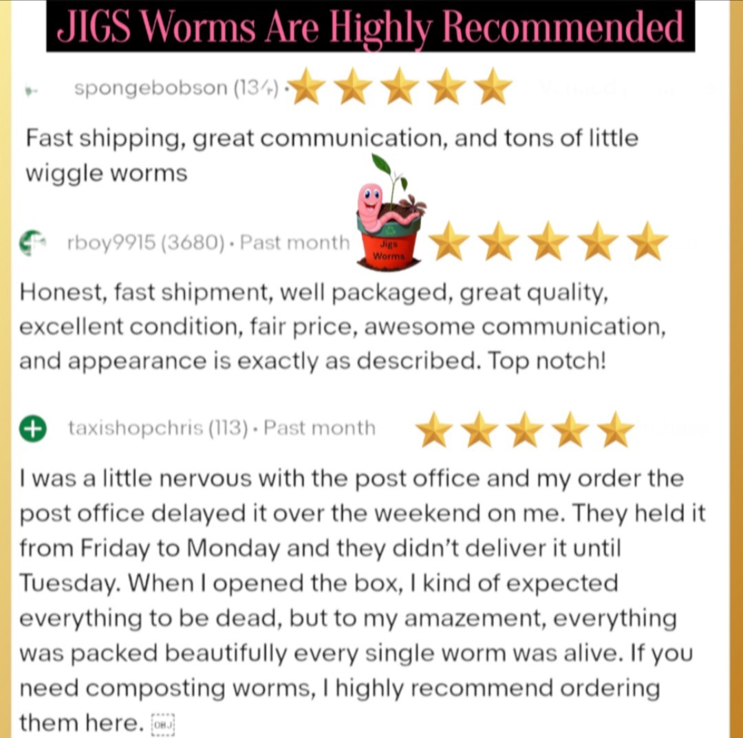 (JIGS) Live PURE Red Wiggler Composting Worms, FREE SHIPPING! No Manure!