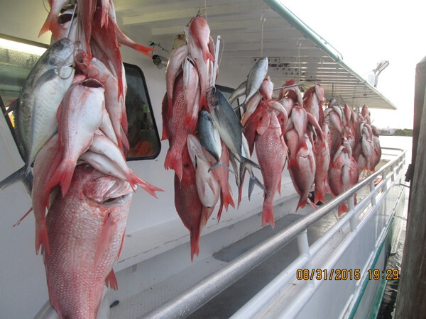 Pompano Candy - Hi-Low Fishing Rigs Bullet Floats Pompano Whiting Snappers