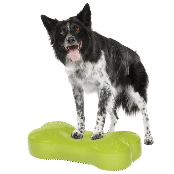 FitPaws K9 FitBone and Duo Disk Inflatable Bundle