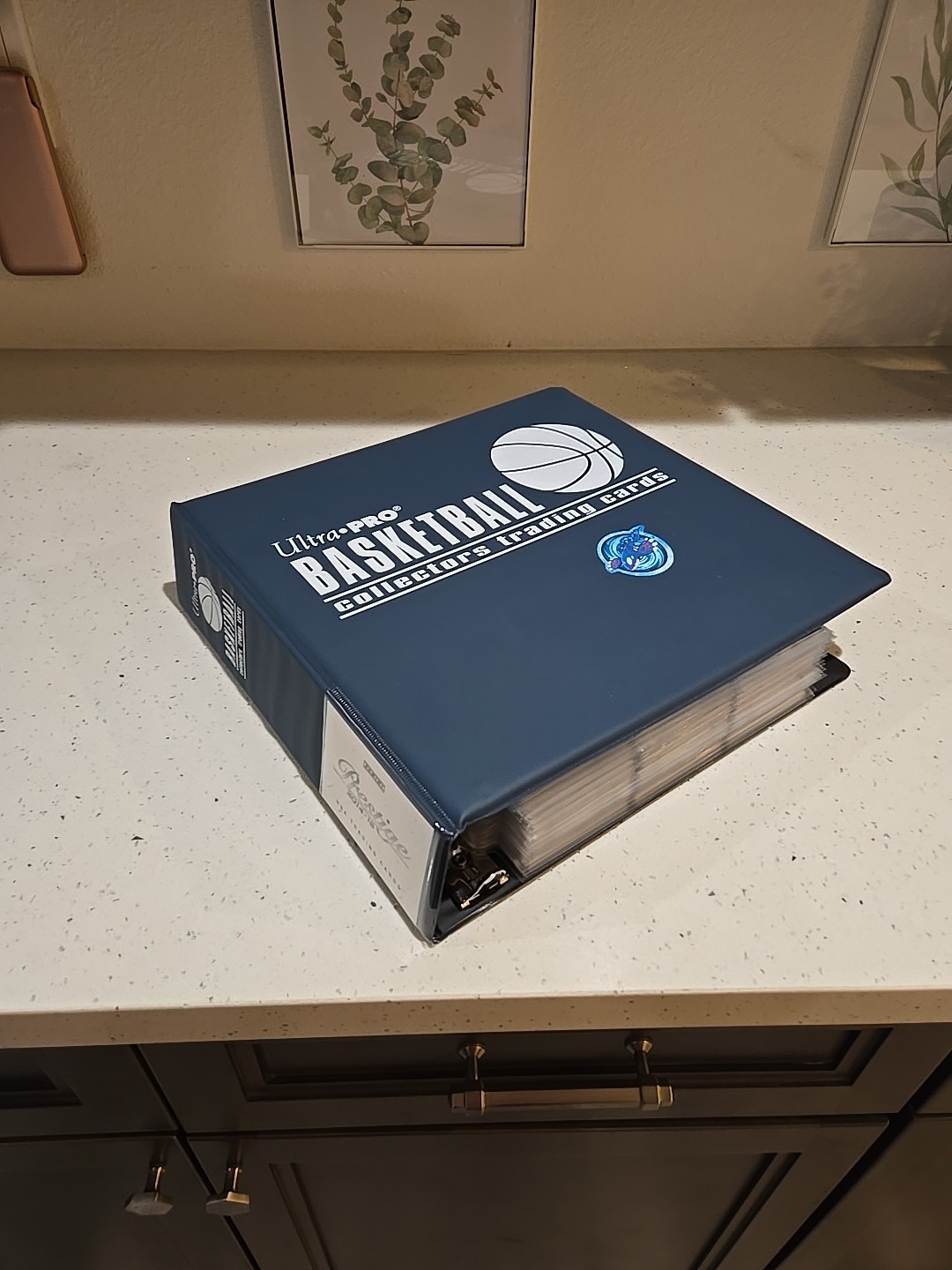 Panini Basketball lot of 450 basketball cards,,,