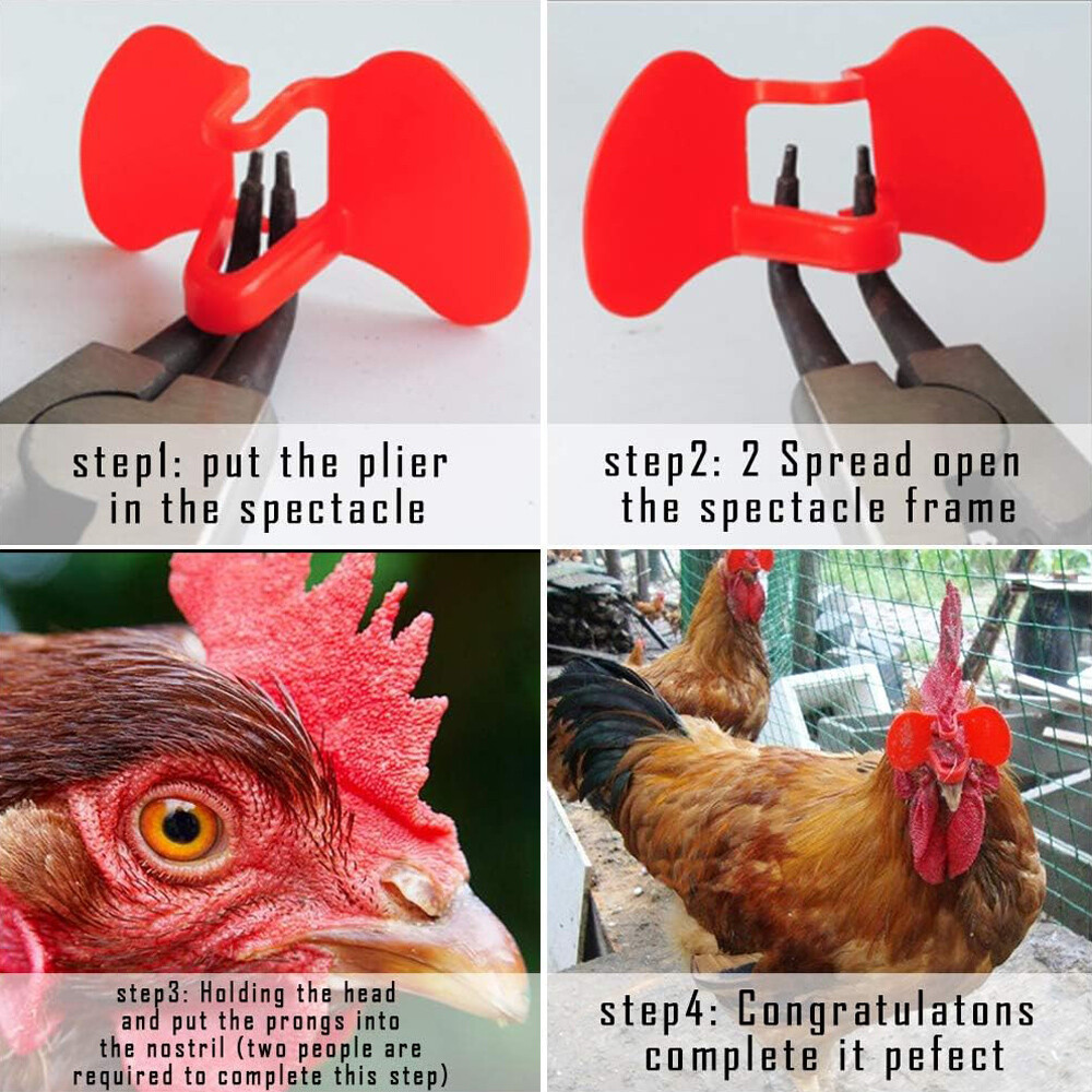 100PCS No Fighting Pinless Chicken Peepers Pheasant Poultry Blinders Spectacles
