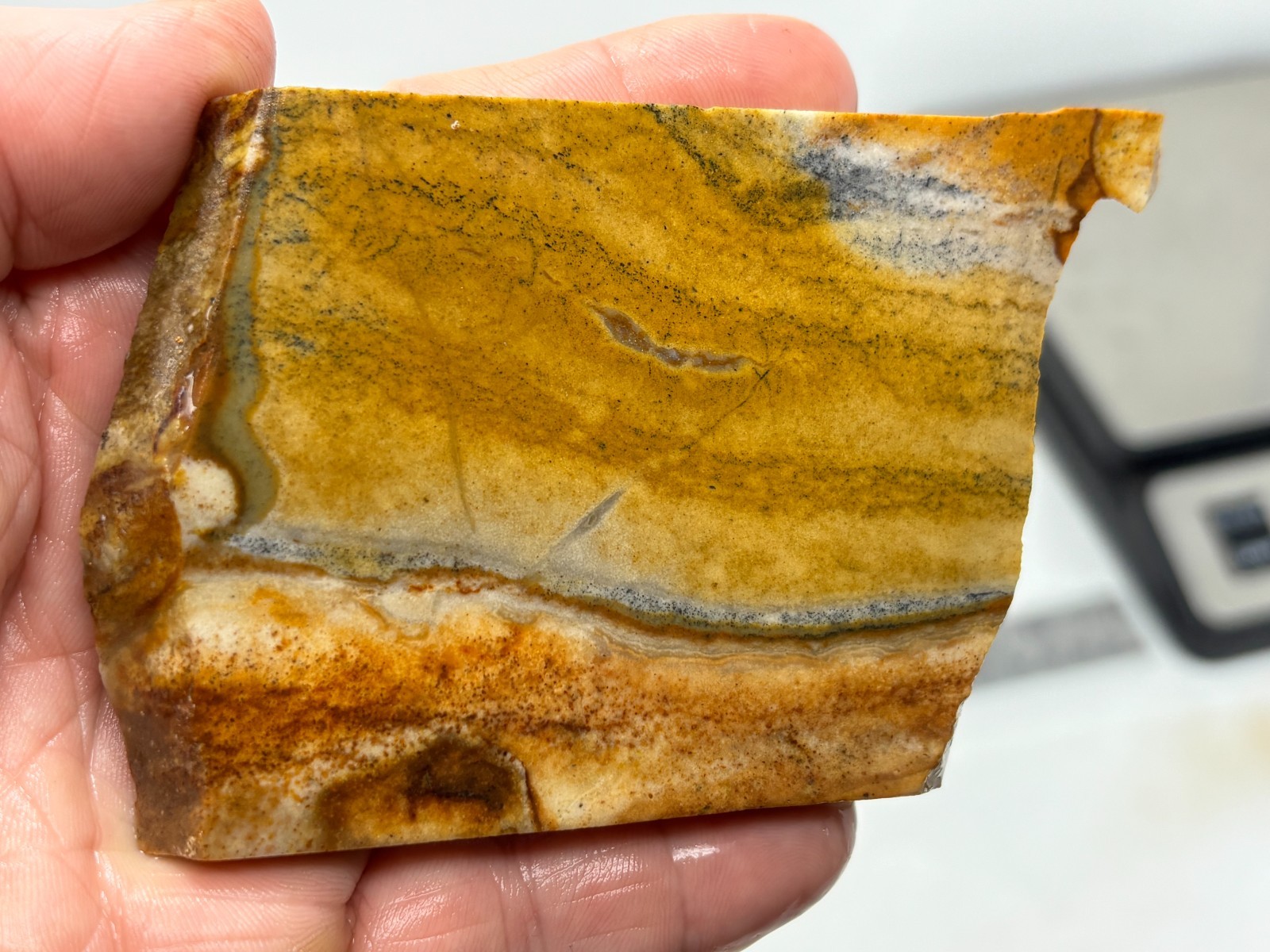 Disaster Peak Picture Jasper Slab Cabbing Lapidary Collecting Combo Ship Avail