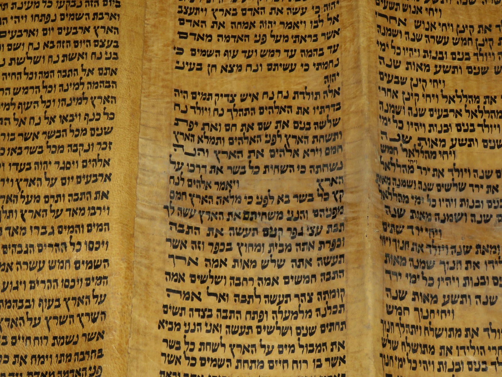 TORAH SCROLL BIBLE VELLUM MANUSCRIPT 300 YRS OLD YEMEN COMPLETE Book of Genesis