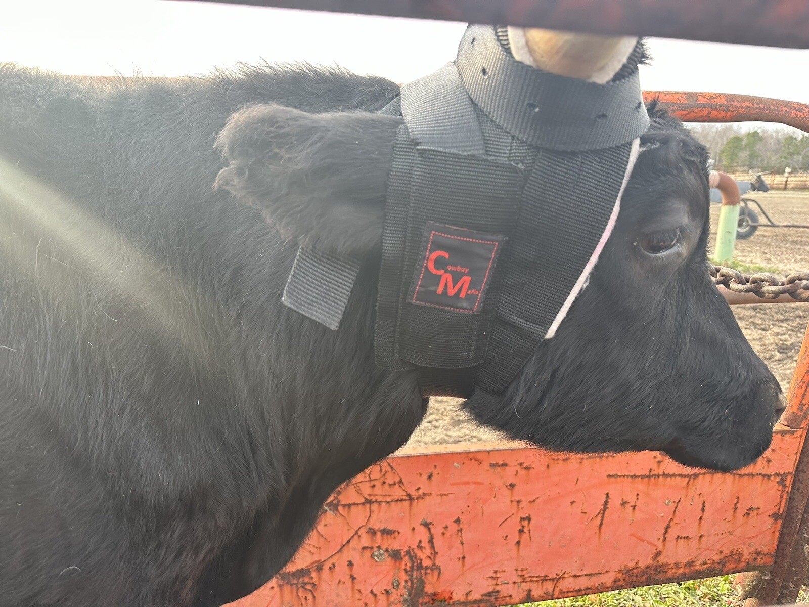 Fits Weaver Leather Super 8 Horn Wrap