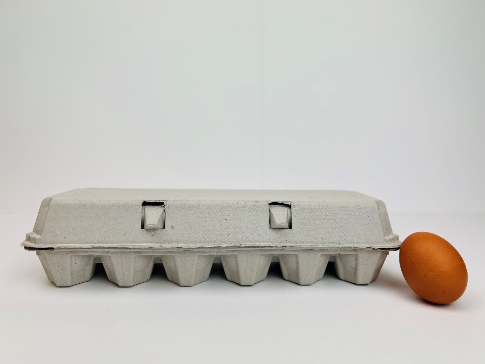 Non-Printed Egg Carton - 100 units