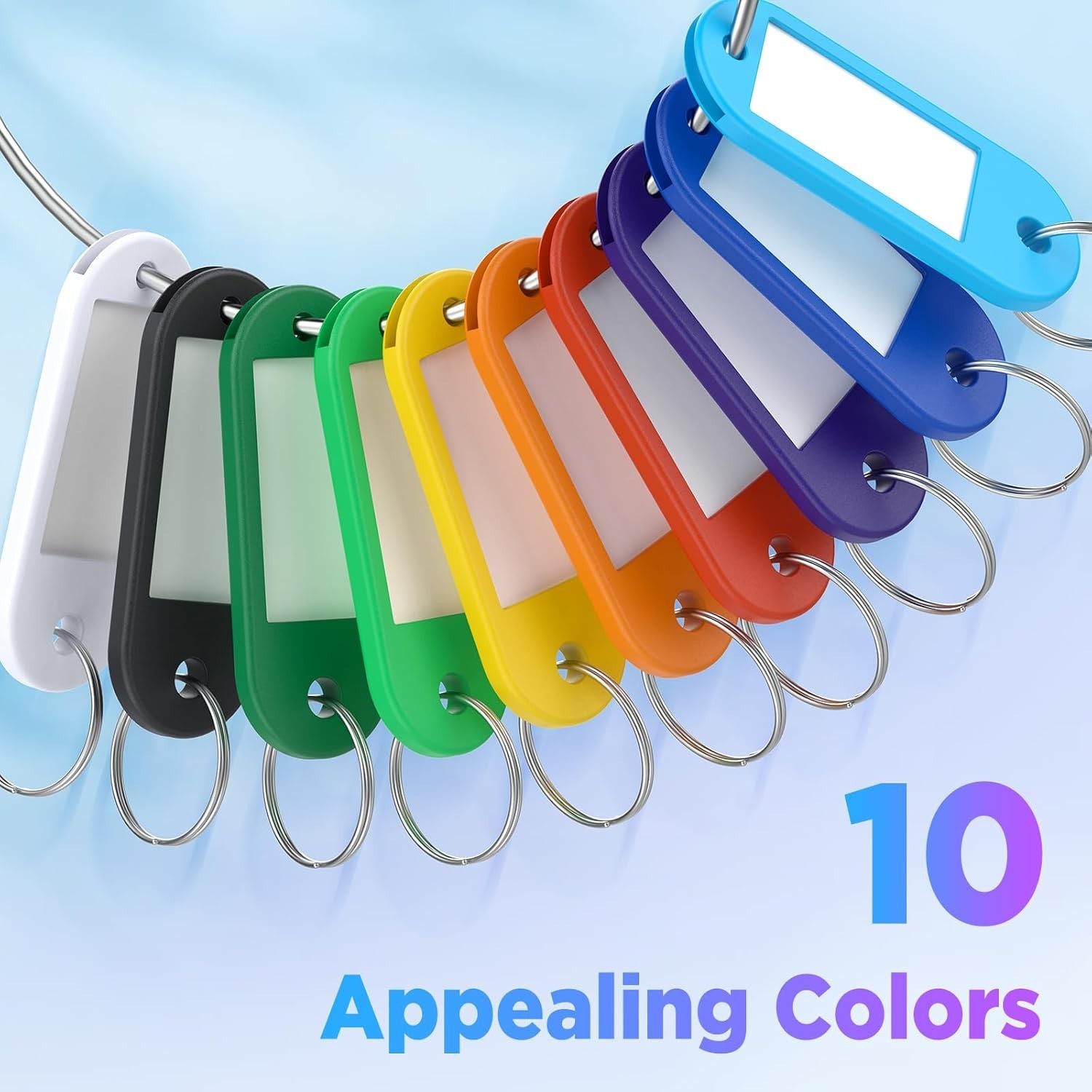 58 Pack Plastic Key Tags, Flexible Key Labels with Split Ring Label Window, Key