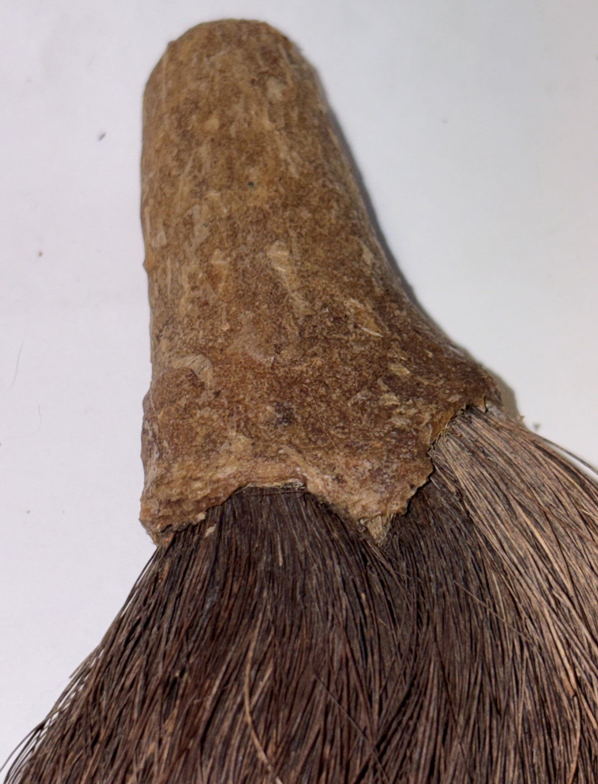 CHUKCHANSI OR MIWOK NATIVE AMERICAN SOAPROOT BRUSH 4”